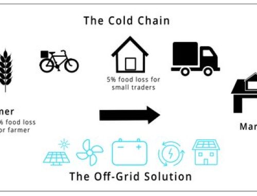 What is the Cold Chain and Why it Matters